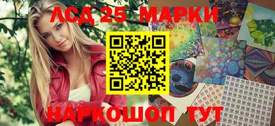 прущие грибы Новозыбков