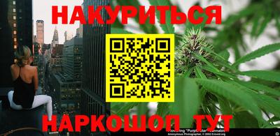 прущие грибы Новозыбков