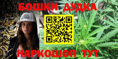 прущие грибы Новозыбков