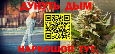 прущие грибы Новозыбков