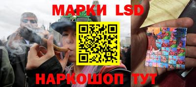 гидропоника Новокубанск